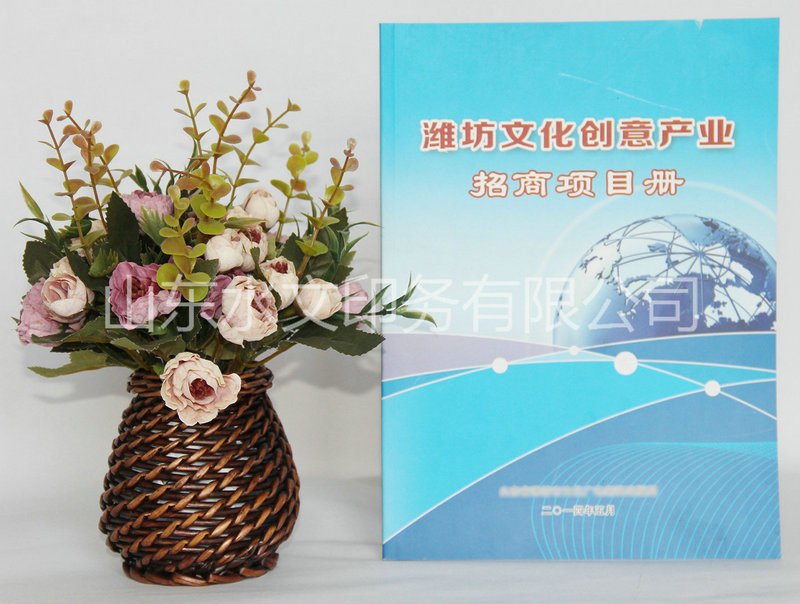 創(chuàng)意項(xiàng)目?jī)?cè)印刷